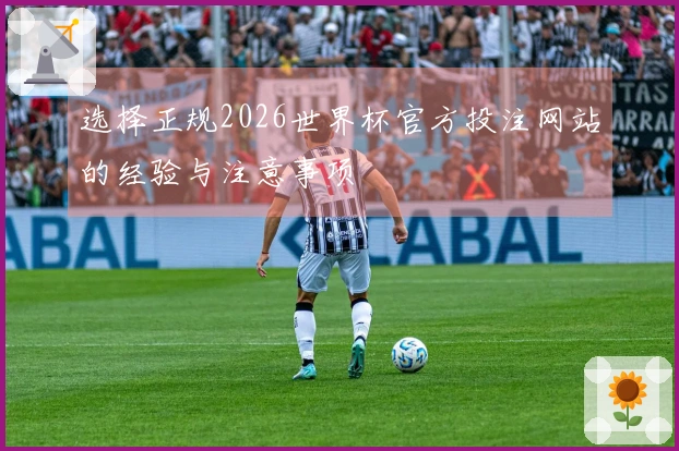 选择正规2026世界杯官方投注网站的经验与注意事项