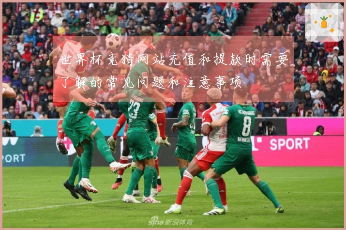 世界杯竞猜网站充值和提款时需要了解的常见问题和注意事项